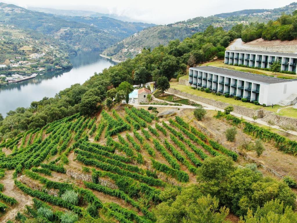 Douro Palace Hotel Resort & Spa — Vila Real