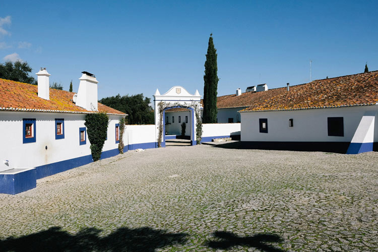 Monte Velho Equo-Resort